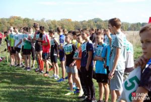 Sukces biegaczy na Krakowskich Błoniach