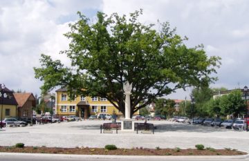 Urząd Gminy Łapanów