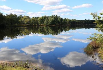 Aktualny stan rzeki Stradomki