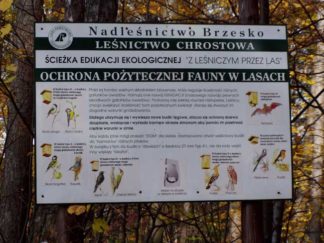 Ścieżka edukacji ekologicznej