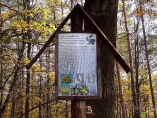 Ścieżka edukacji ekologicznej