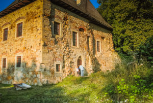 Zamek w Wieruszycach