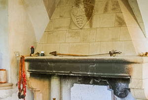 Zamek w Wieruszycach