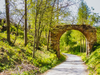 Pozostałość zespołu dworsko-parkowego z XVII w. (Brama) w Tarnawie