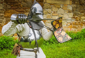 Zamek w Wieruszycach