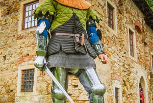 Zamek w Wieruszycach