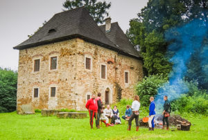 Zamek w Wieruszycach