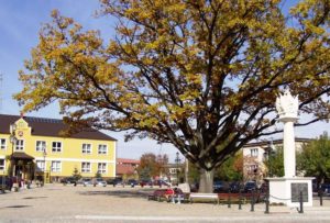 Rynek Łapanów jesienią